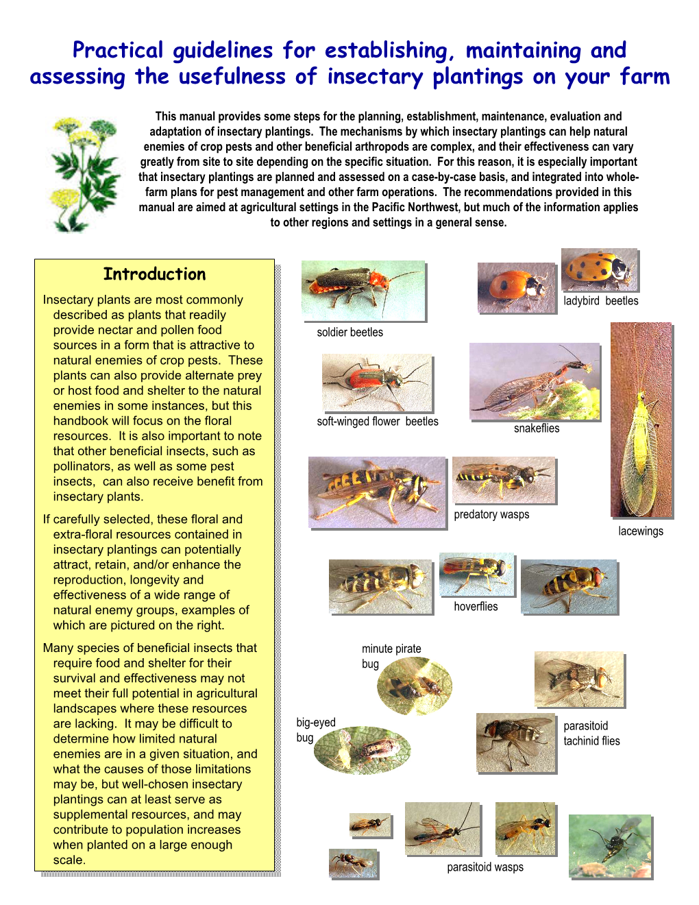 Practical Guidelines for Establishing, Maintaining and Assessing the Usefulness of Insectary Plantings on Your Farm