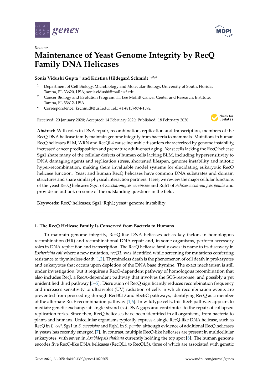 Maintenance of Yeast Genome Integrity by Recq Family DNA Helicases