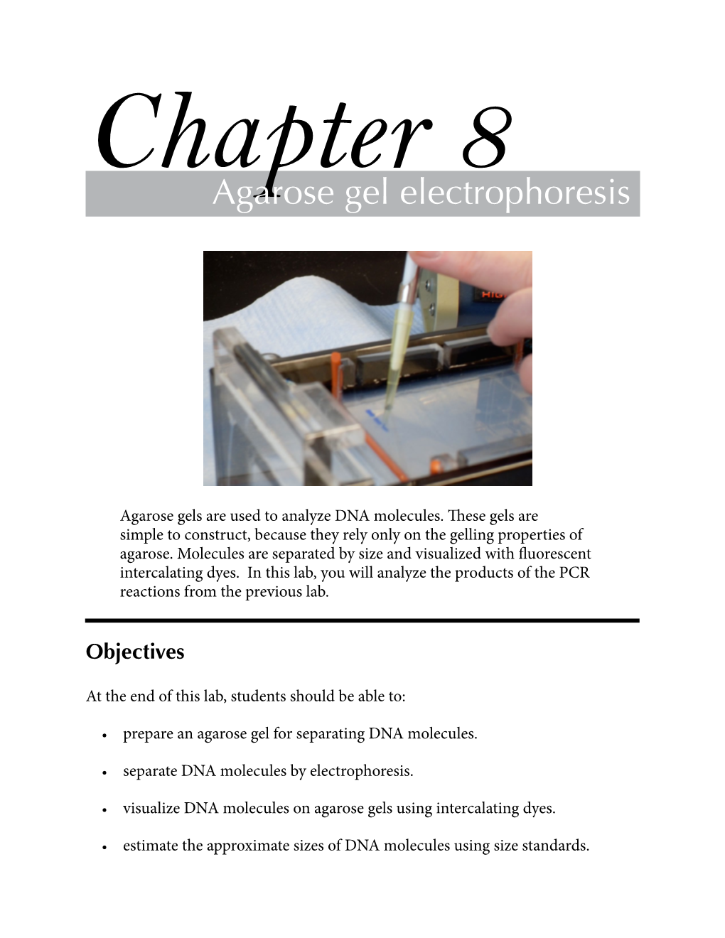 Agarose Gel Electrophoresis