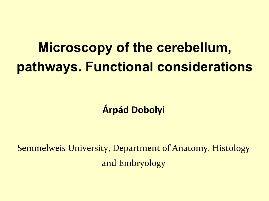 Microscopy of the Cerebellum, Pathways. Functional Considerations