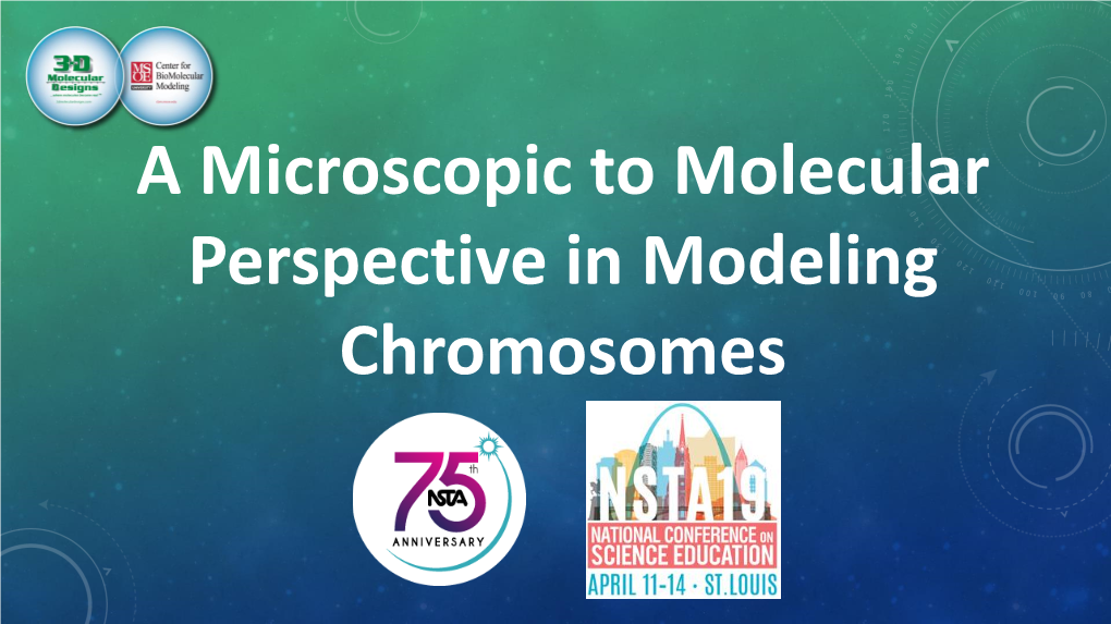 A Microscopic to Molecular Perspective in Modeling Chromosomes WORKSHOP LEARNING OBJECTIVES