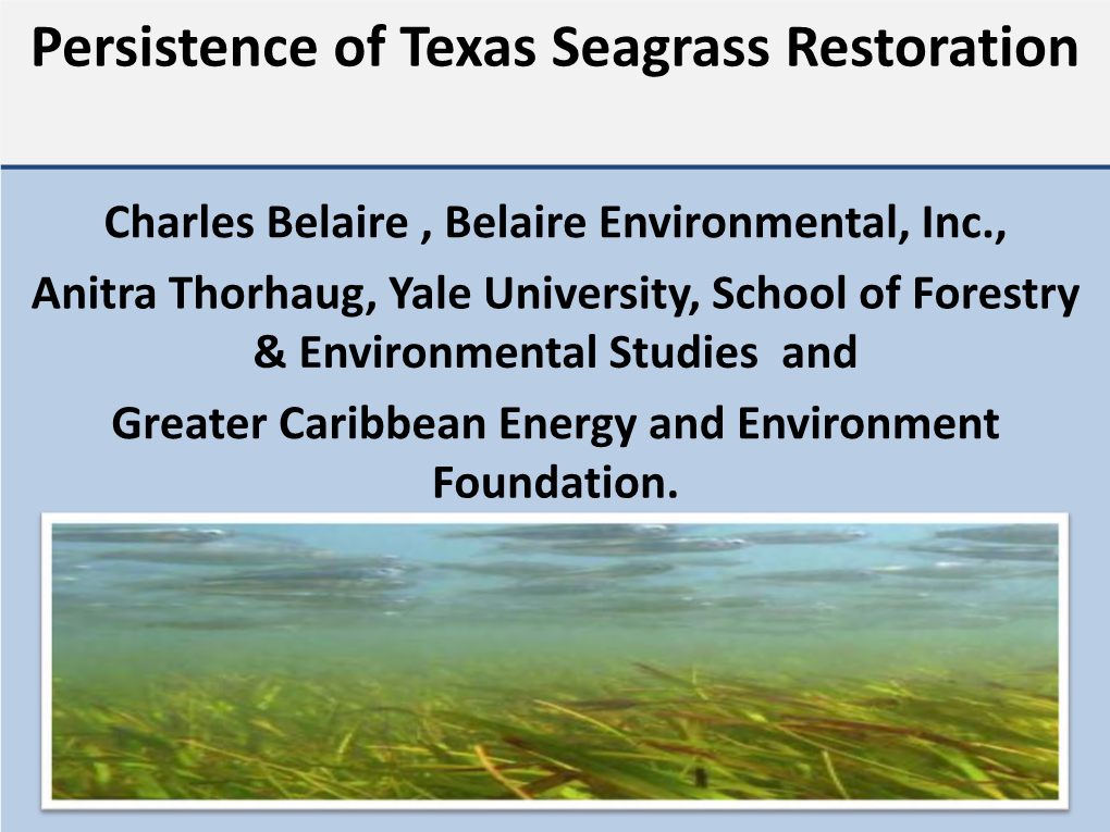 Texas Seagrass Restoration