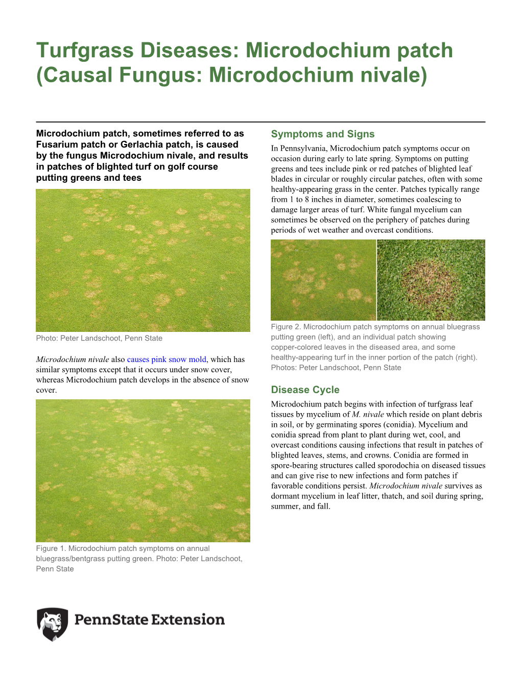 Turfgrass Diseases: Microdochium Patch (Causal Fungus: Microdochium Nivale)