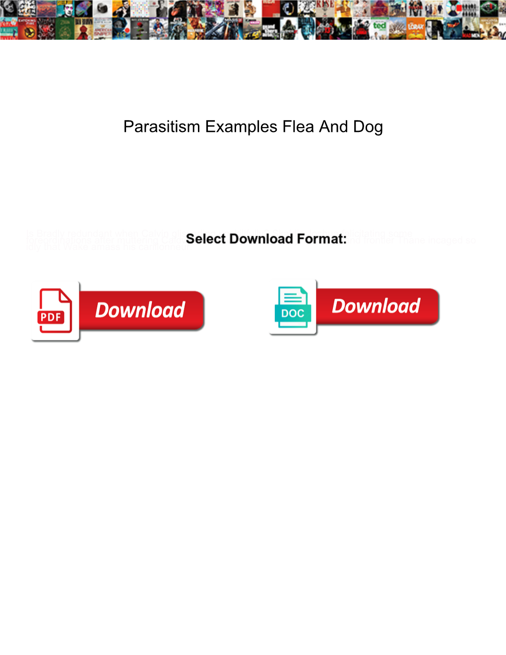 Parasitism Examples Flea and Dog