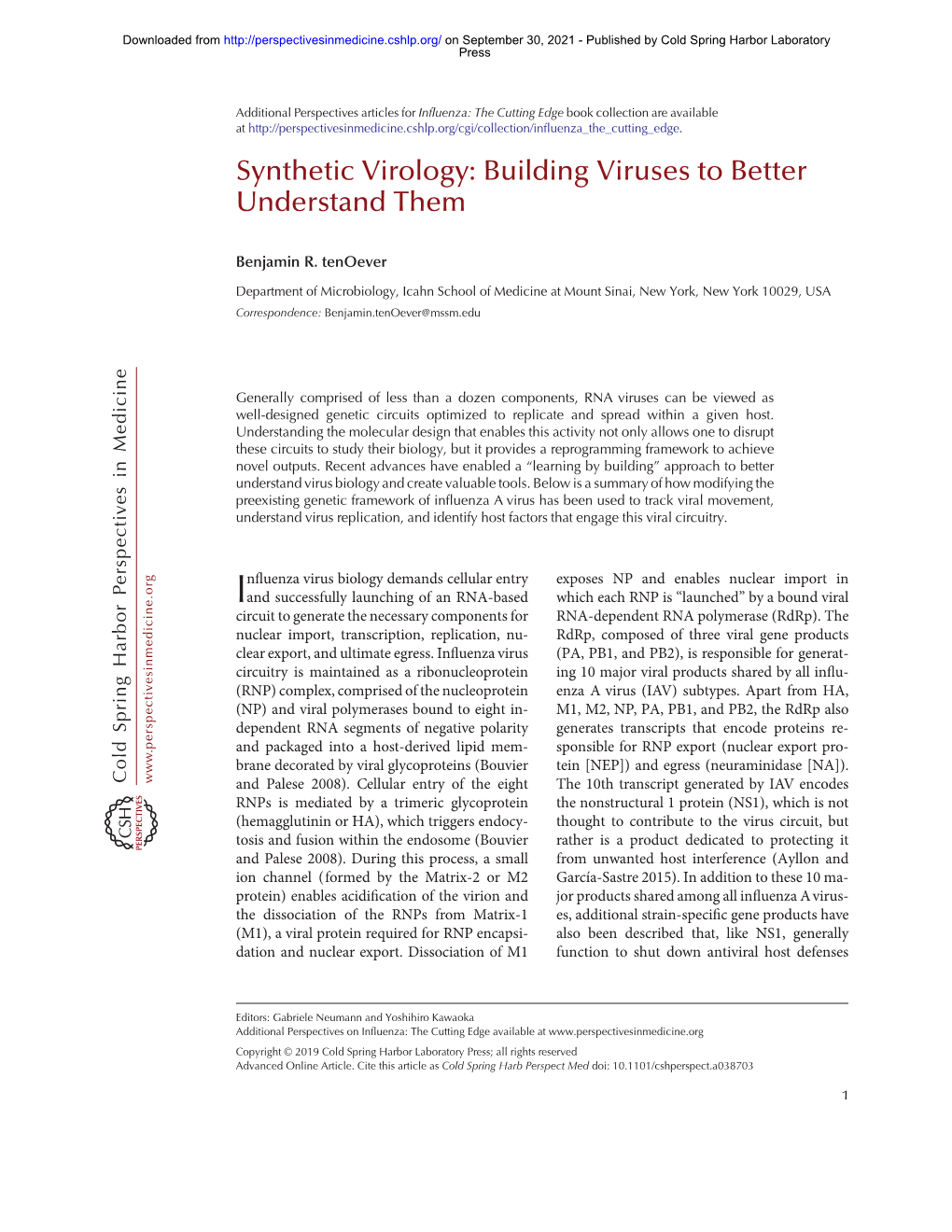 Synthetic Virology: Building Viruses to Better Understand Them