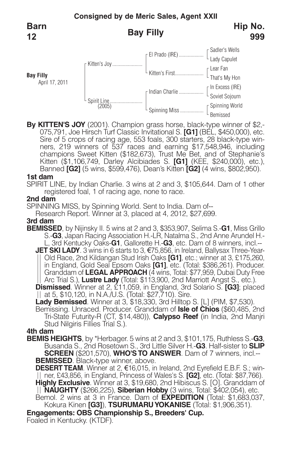 Bay Filly Barn 12 Hip No