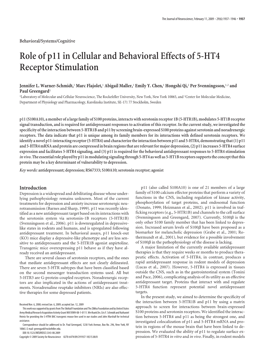 Role of P11 in Cellular and Behavioral Effects of 5-HT4 Receptor Stimulation