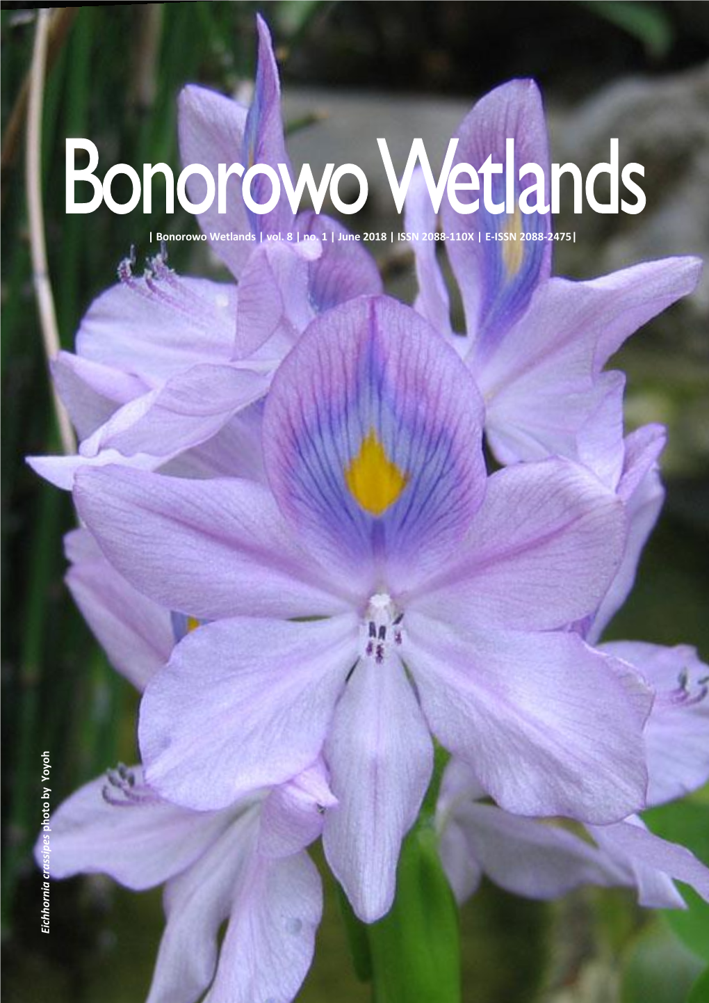 Bonorowo Wetlands | Vol. 8 | No