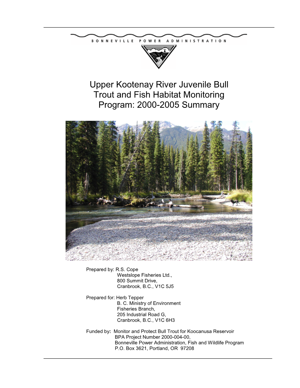 Upper Kootenay River Juvenile Bull Trout and Fish Habitat Monitoring Program: 2000-2005 Summary