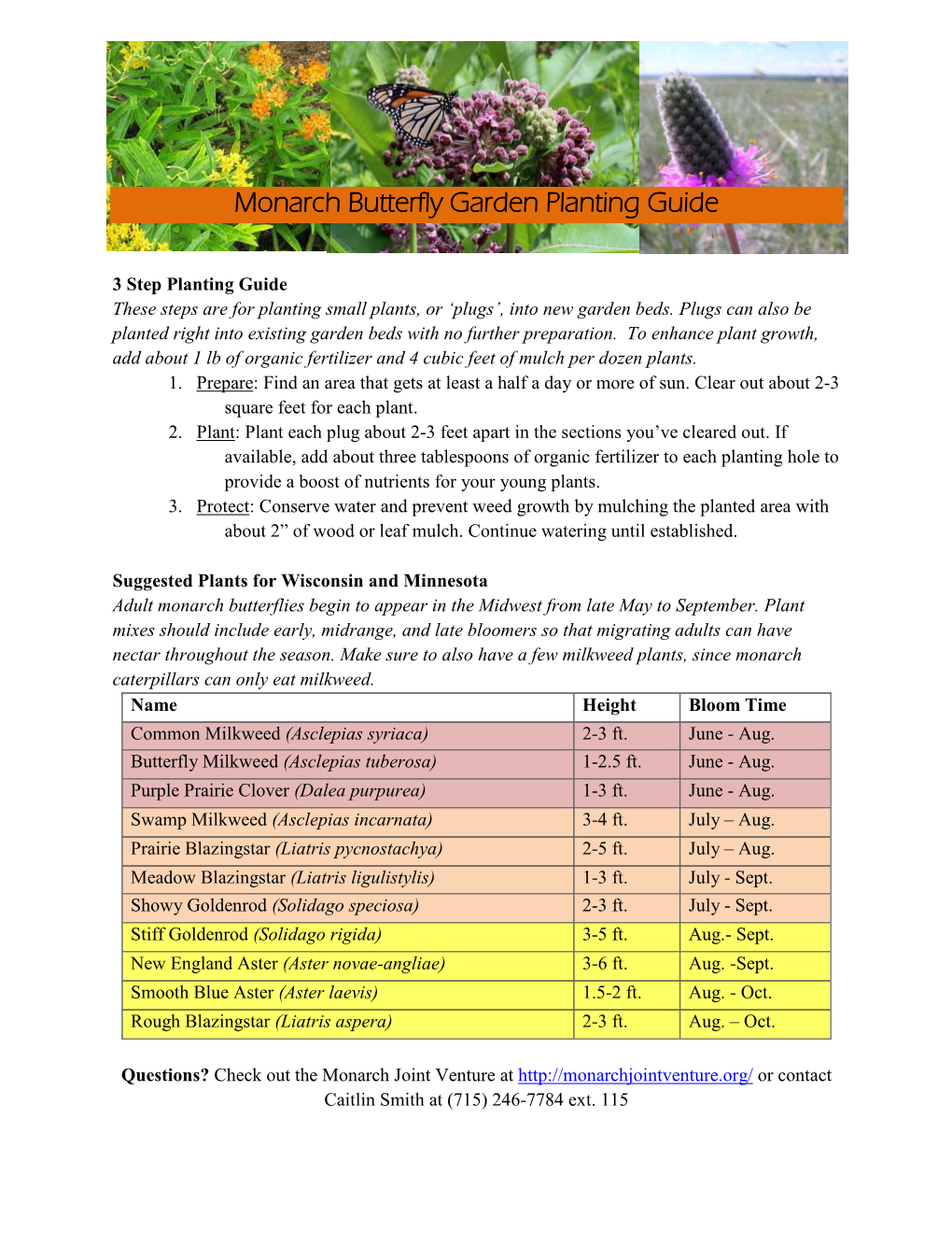 Monarch Butterfly Garden Planting Guide