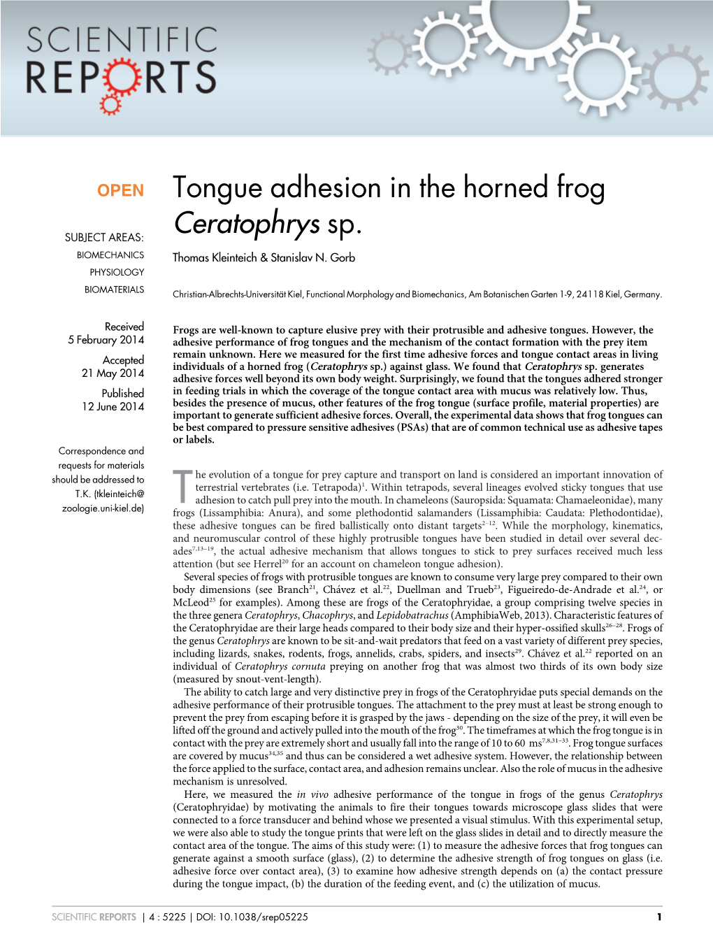 Tongue Adhesion in the Horned Frog Ceratophrys