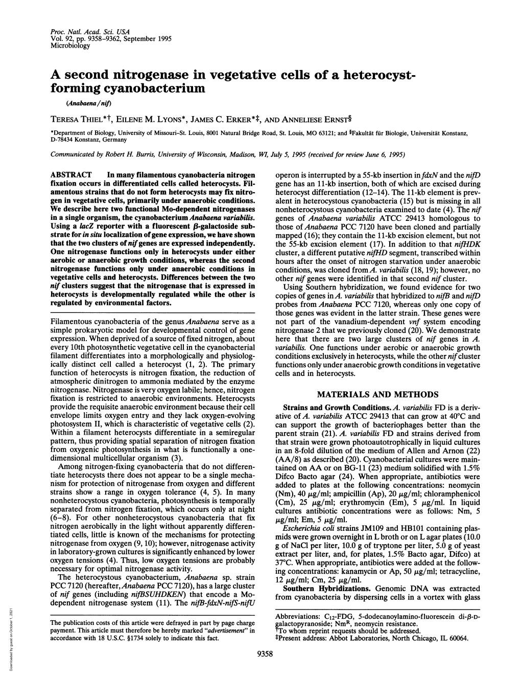 Forming Cyanobacterium (Anabaena/Nif) TERESA THIEL*T, EILENE M