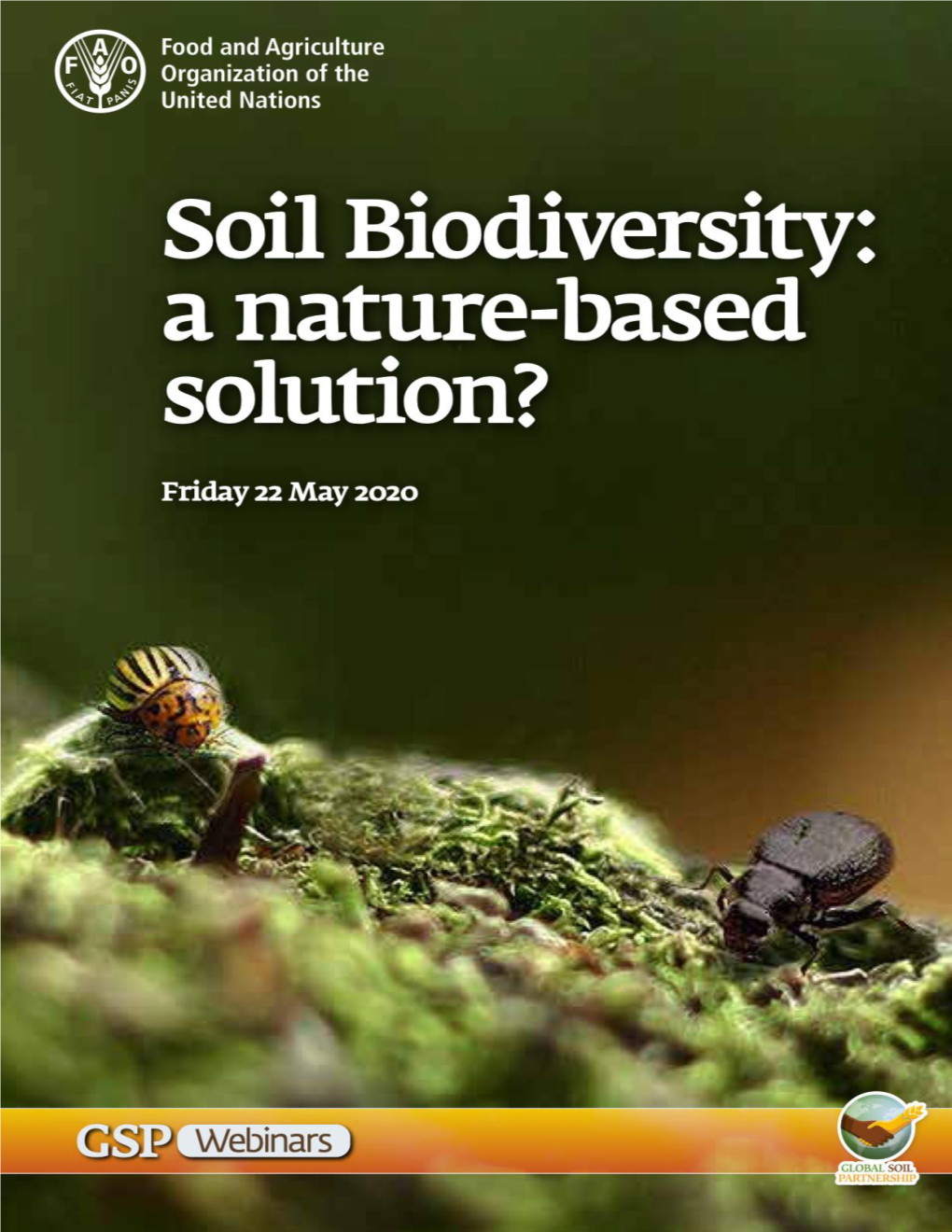 Soil Biodiversity: a Nature-Based Solution?”