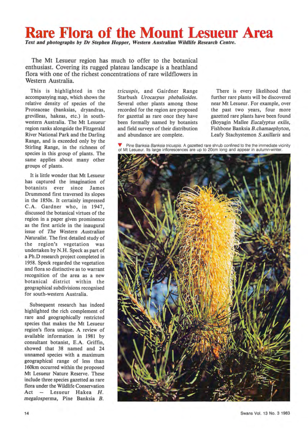 Rare Flora of the Mount Lesueur Area Text and Photographs by Dr Stephen Hopper, Western Australian Wildlife Research Centre