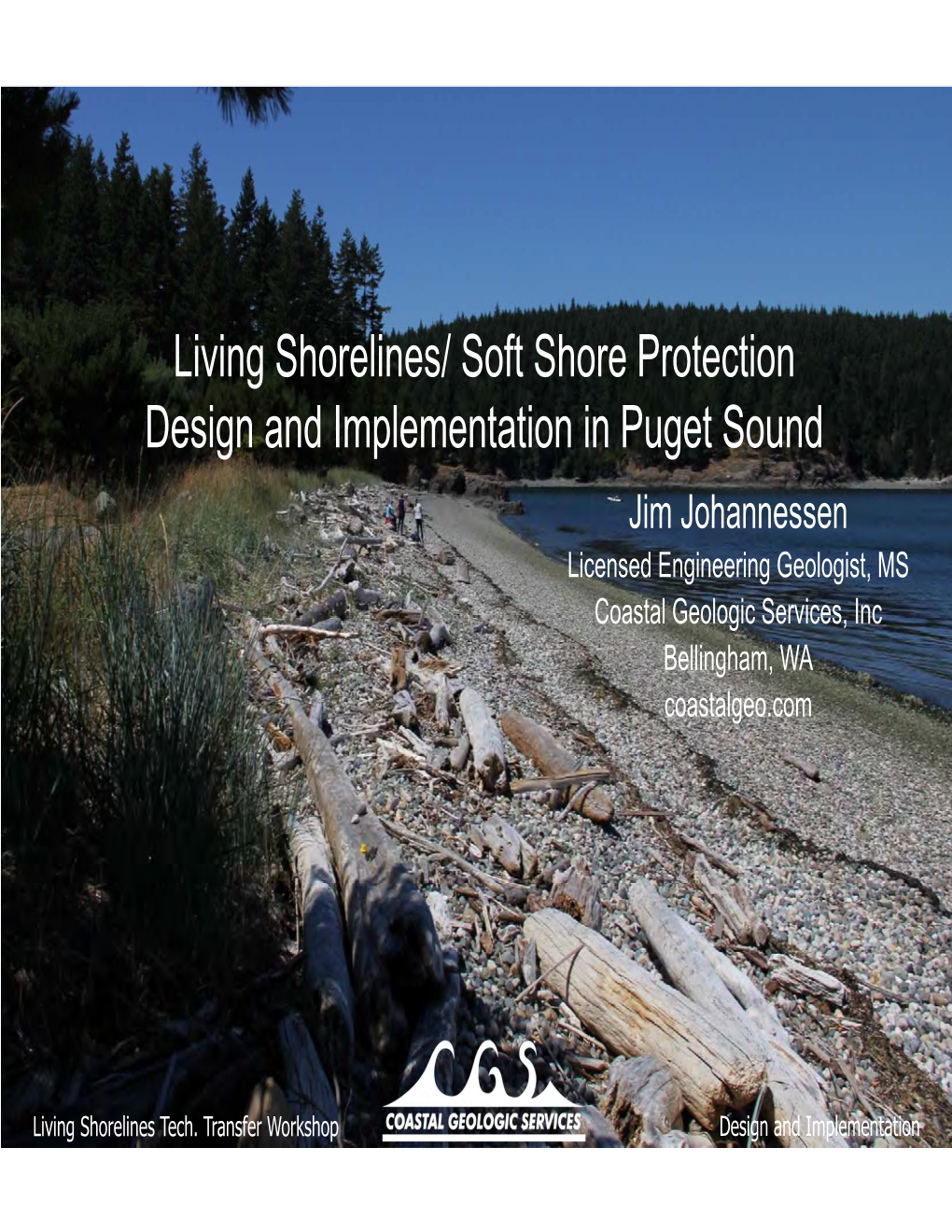 Living Shorelines/ Soft Shore Protection Design And