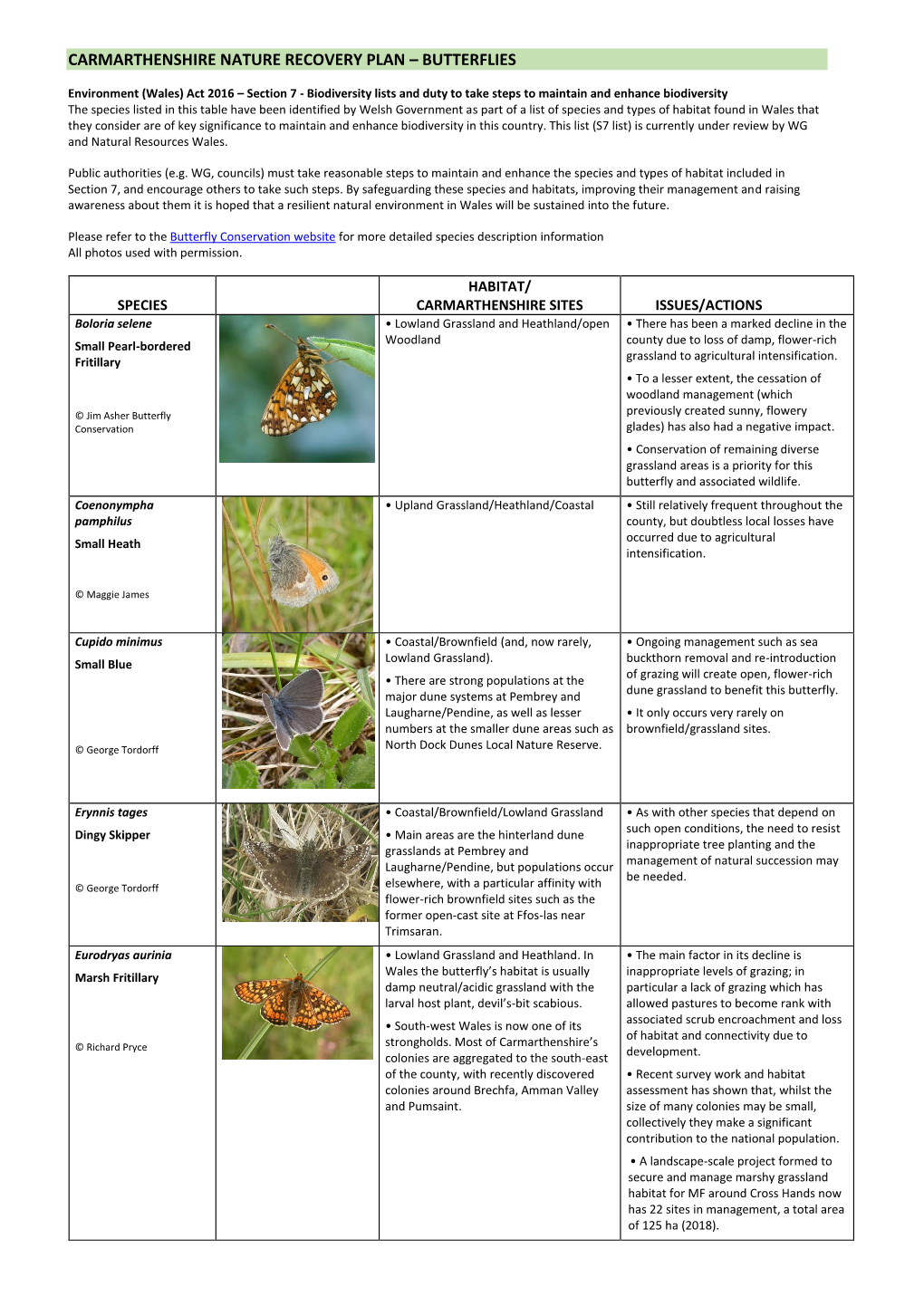 Carmarthenshire Nature Recovery Plan – Butterflies