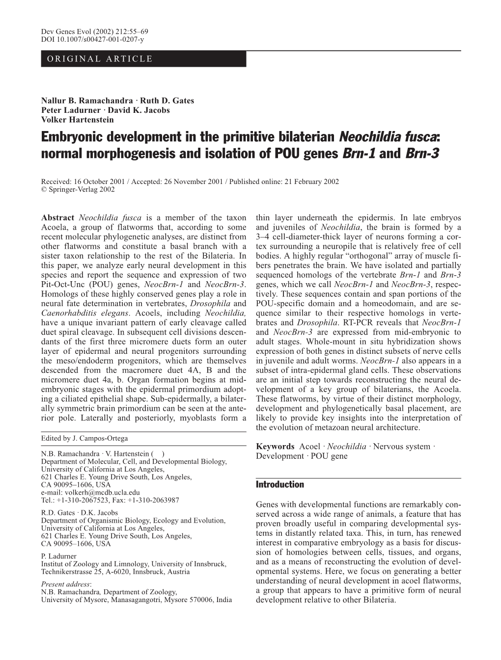 Embryonic Development in the Primitive Bilaterian Neochildia Fusca: Normal Morphogenesis and Isolation of POU Genes Brn-1 and Brn-3