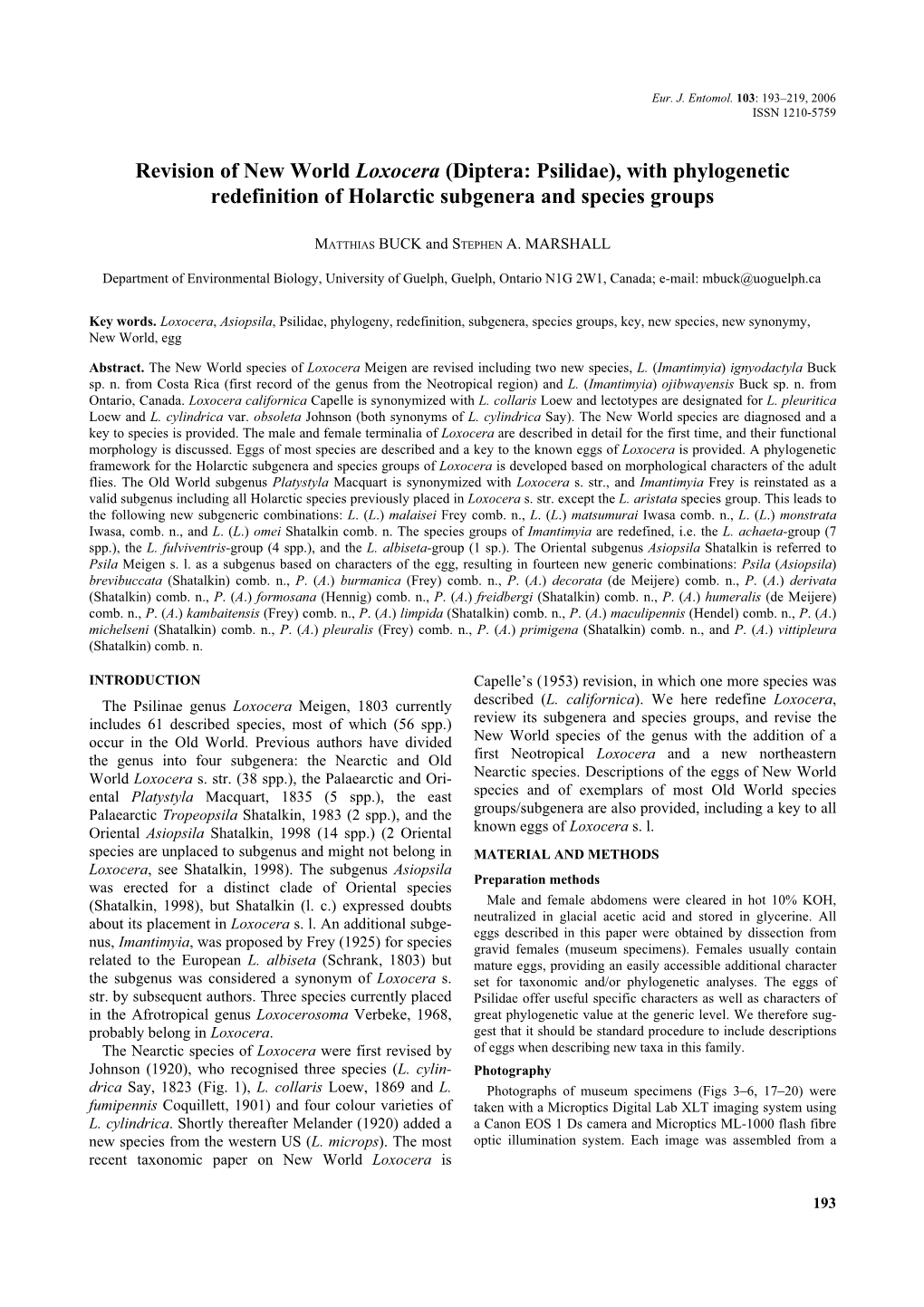 Revision of New World Loxocera (Diptera: Psilidae), with Phylogenetic Redefinition of Holarctic Subgenera and Species Groups