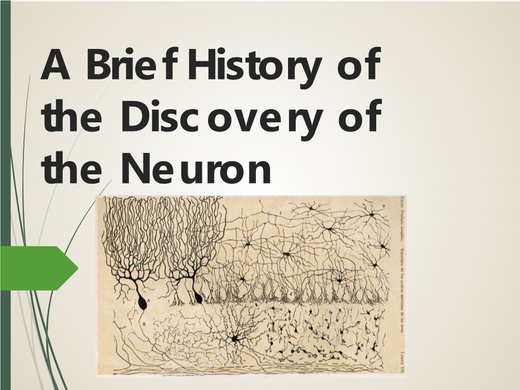 A History of the Neuron
