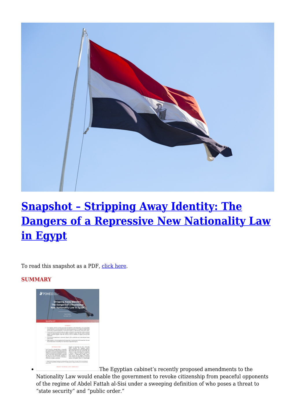 The Dangers of a Repressive New Nationality Law in Egypt