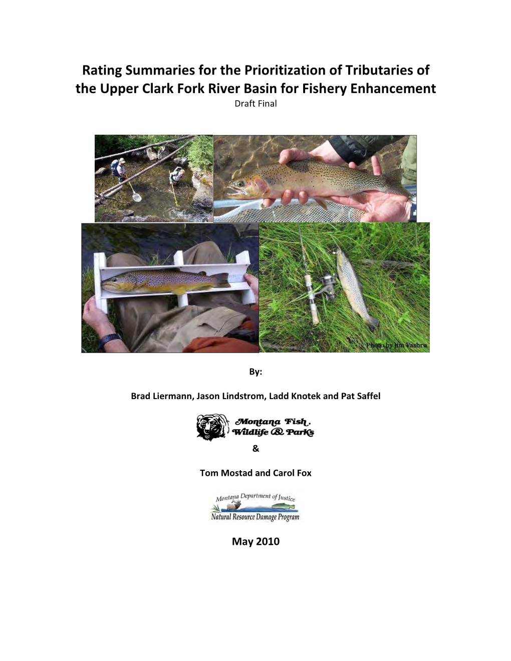 Rating Summaries for the Prioritization of Tributaries of Upper Clark Fork River Basin for Fishery Enhancement