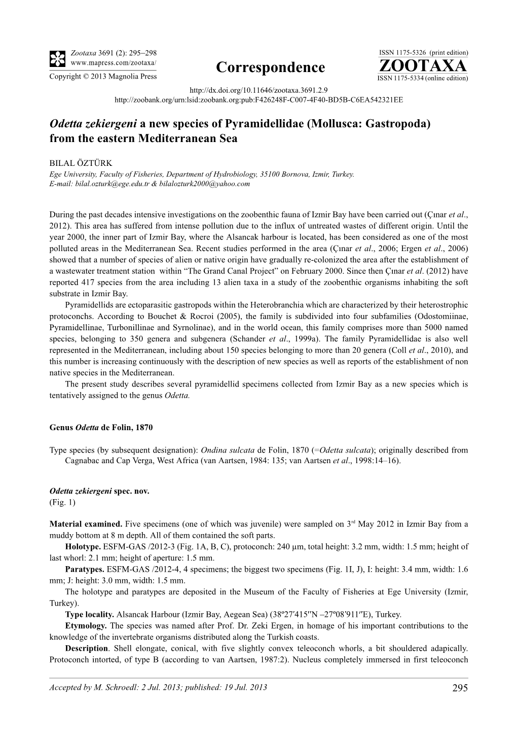 Odetta Zekiergeni a New Species of Pyramidellidae (Mollusca: Gastropoda) from the Eastern Mediterranean Sea