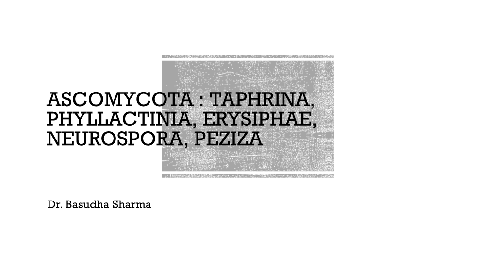 Ascomycota : Taphrina, Phyllactinia, Erysiphae, Neurospora, Peziza