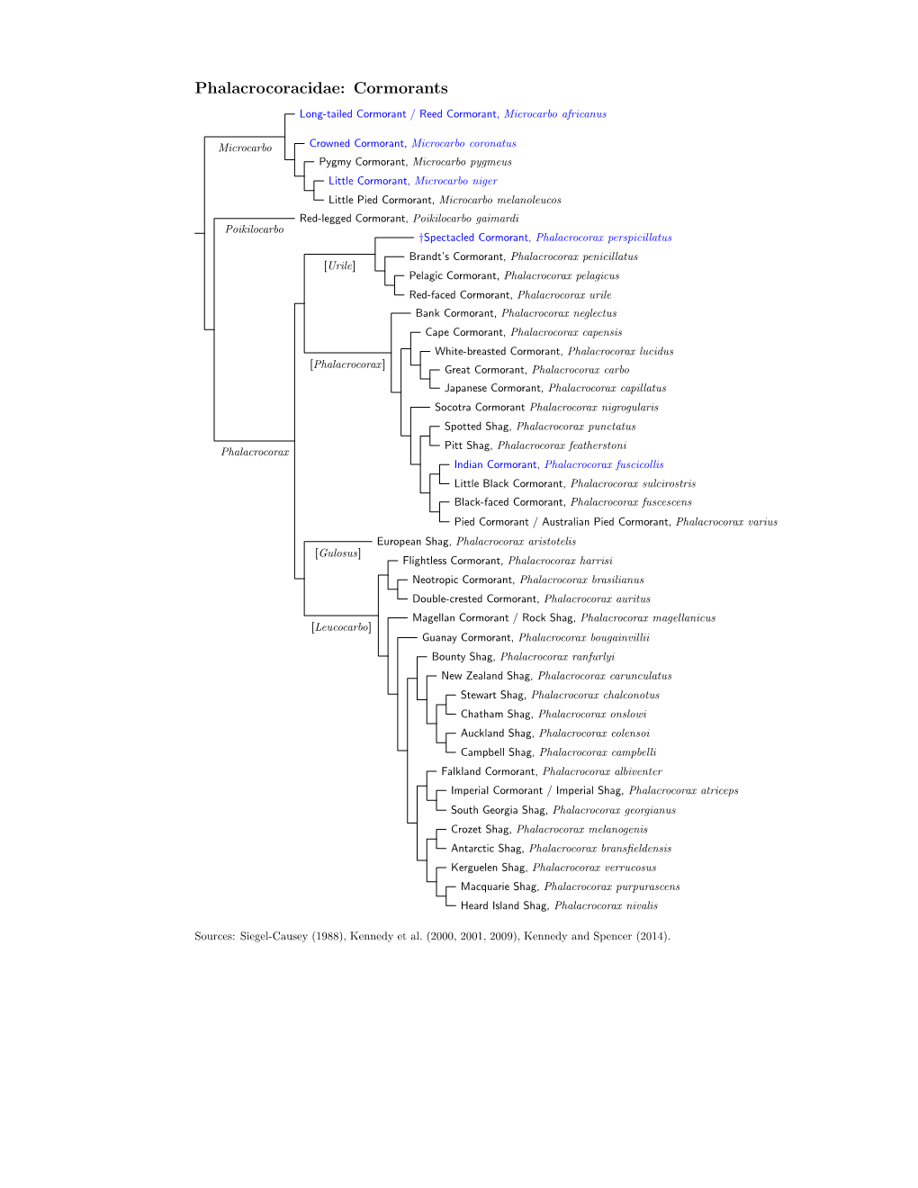 Phalacrocoracidae Species Tree