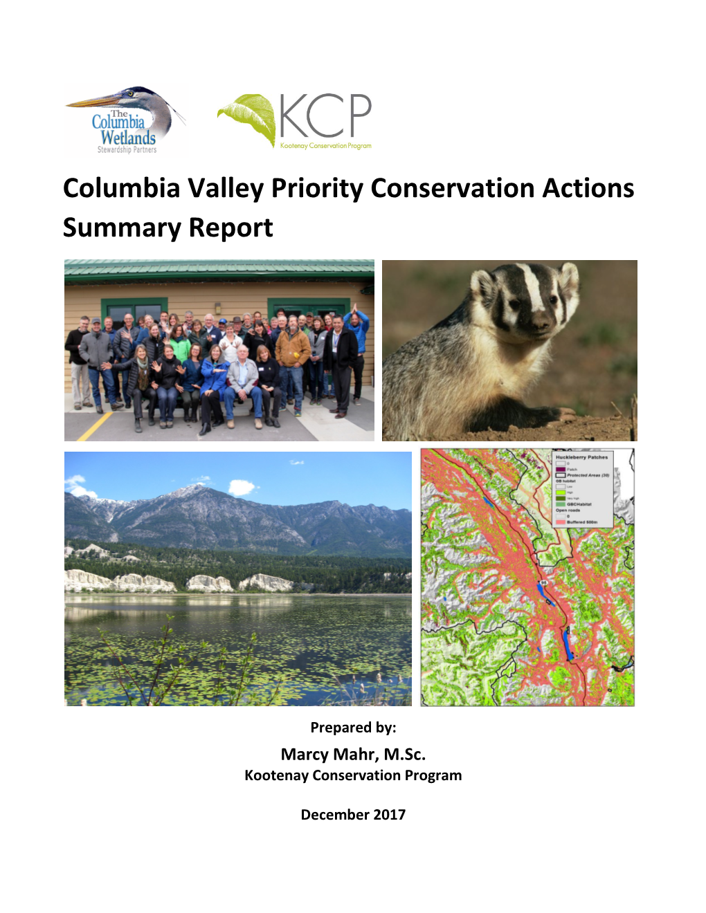 Columbia Valley Priority Conservation Actions Summary Report