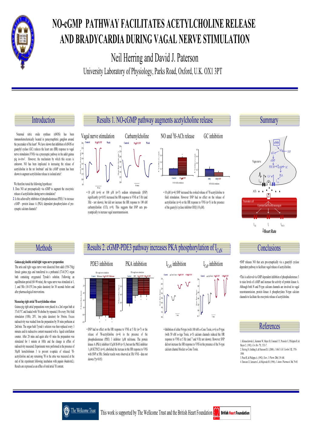 NO-Cgmp PATHWAY FACILITATES ACETYLCHOLINE RELEASE and BRADYCARDIA DURING VAGAL NERVE STIMULATION Neil Herring and David J