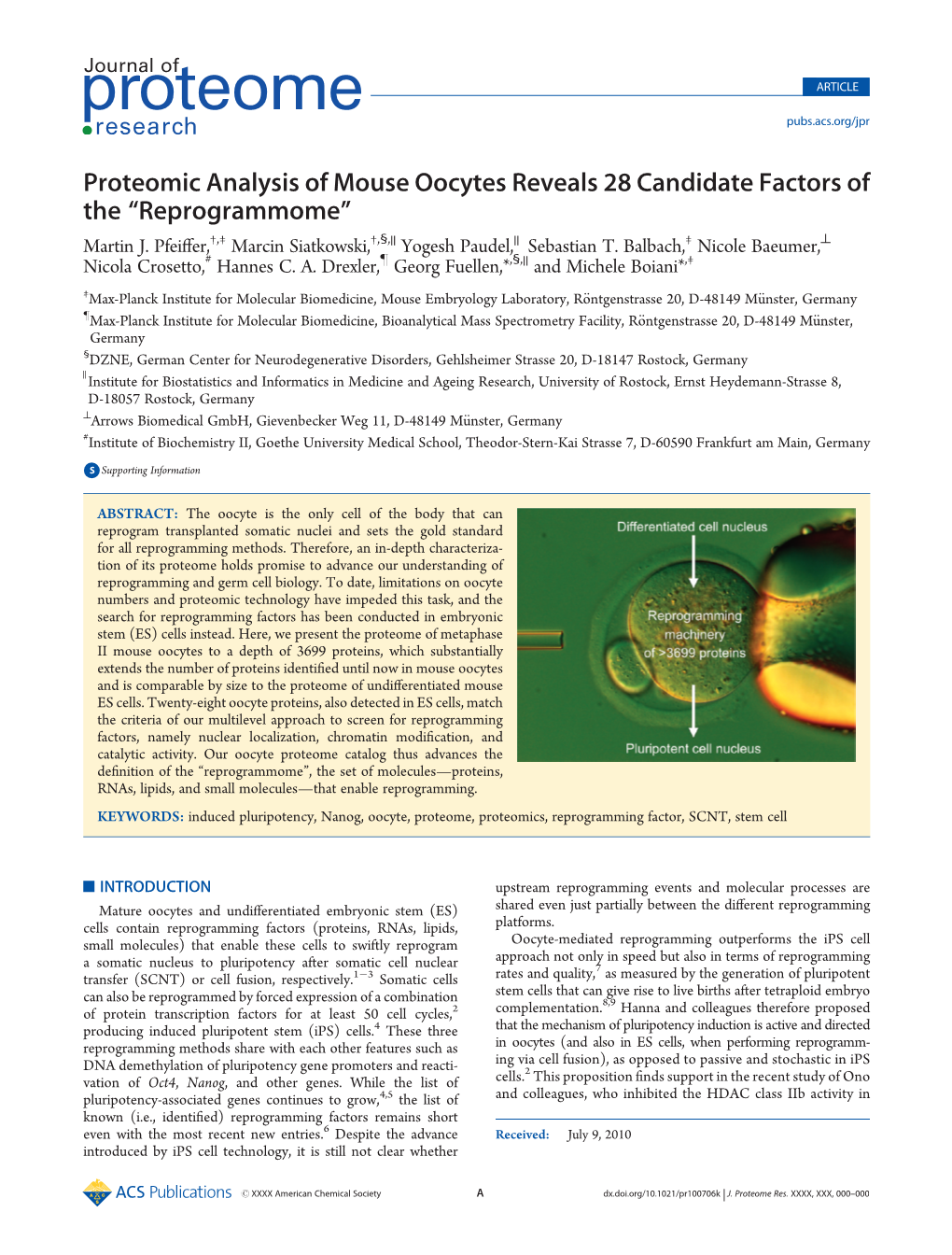 Proteomic Analysis of Mouse Oocytes Reveals 28 Candidate Factors of the “Reprogrammome” Martin J