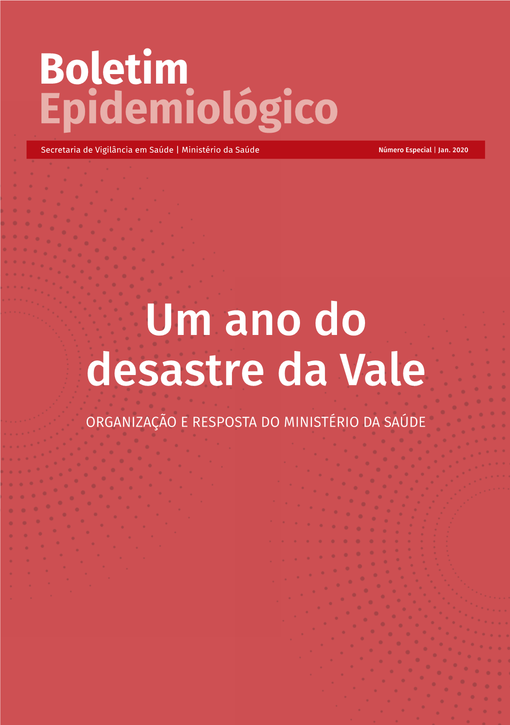 Um Ano Do Desastre Da Vale