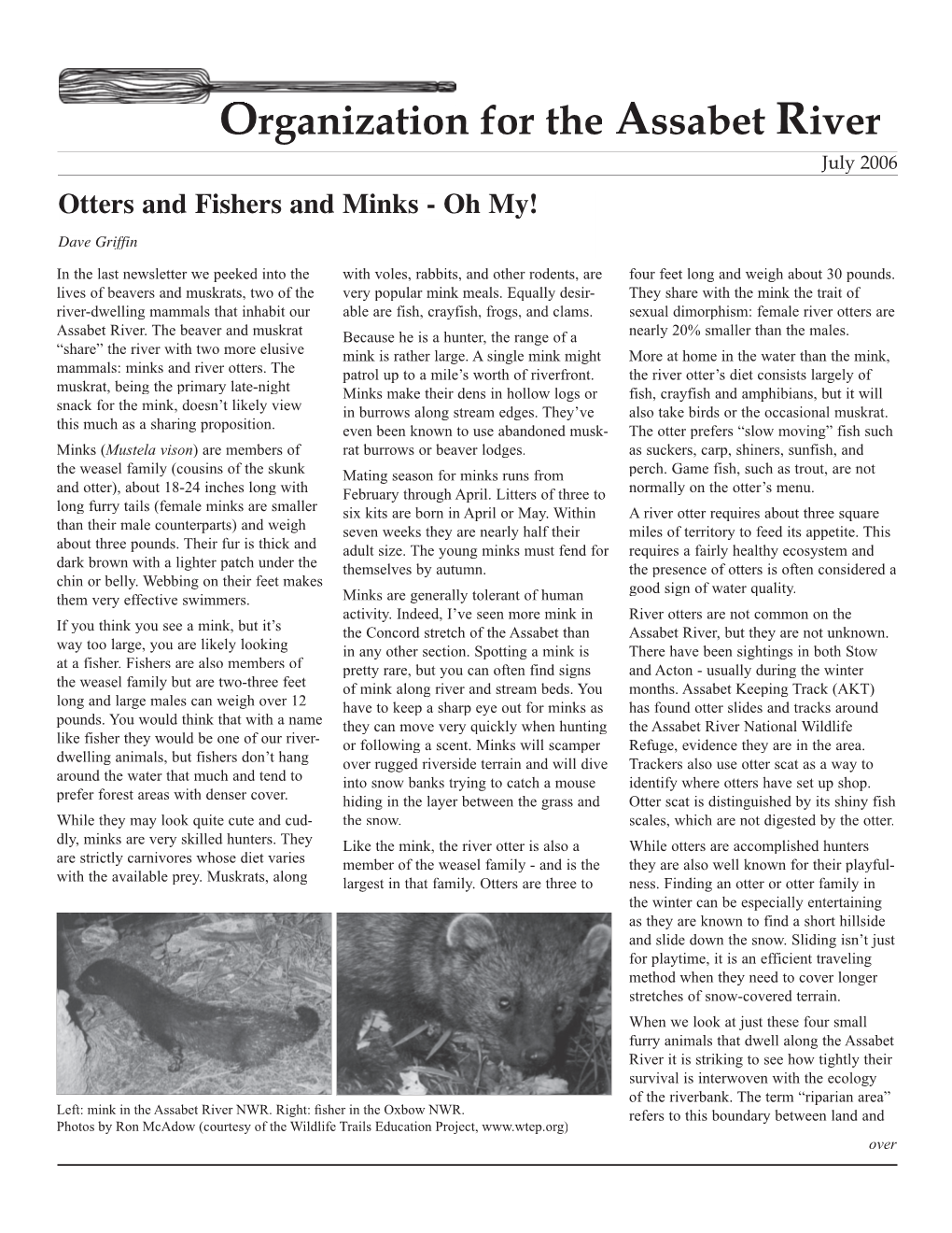 Otters and Fishers and Minks