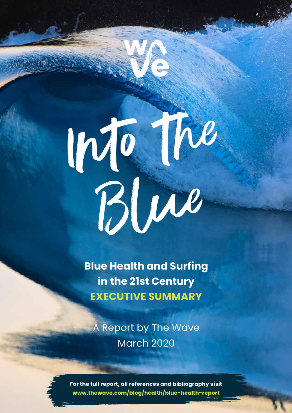 Blue Health Executive Summary