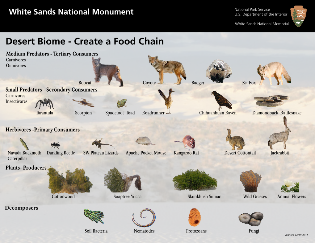 Create a Food Chain Medium Predators - Tertiary Consumers Carnivores Omnivores