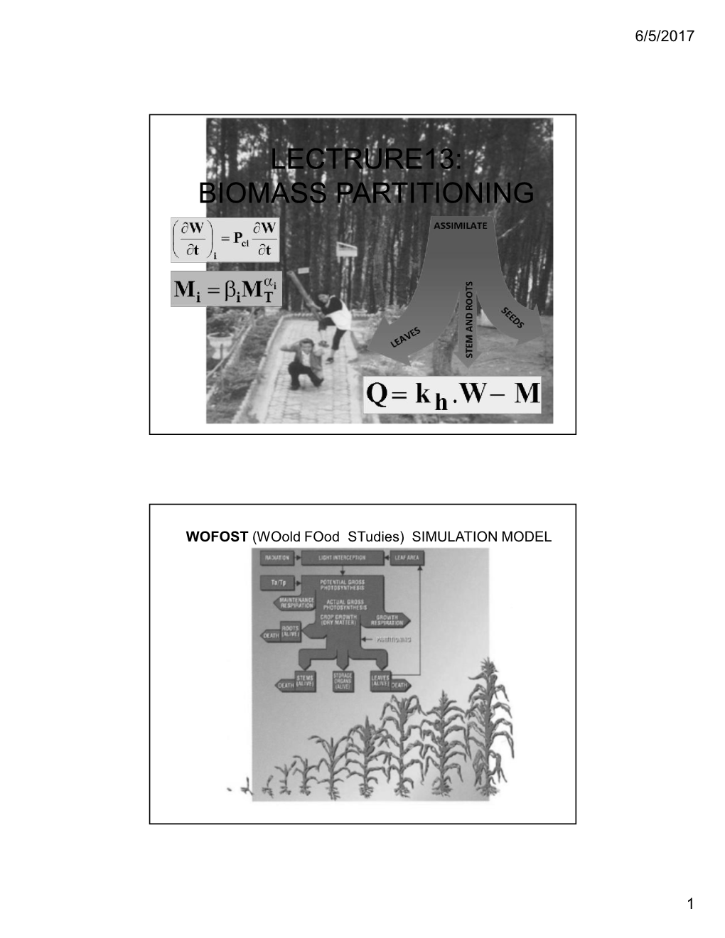 Biomass Partitioning