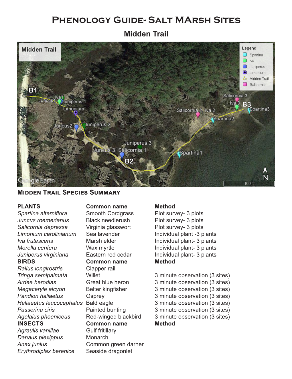 Phenology Guide- Salt Marsh Sites Midden Trail