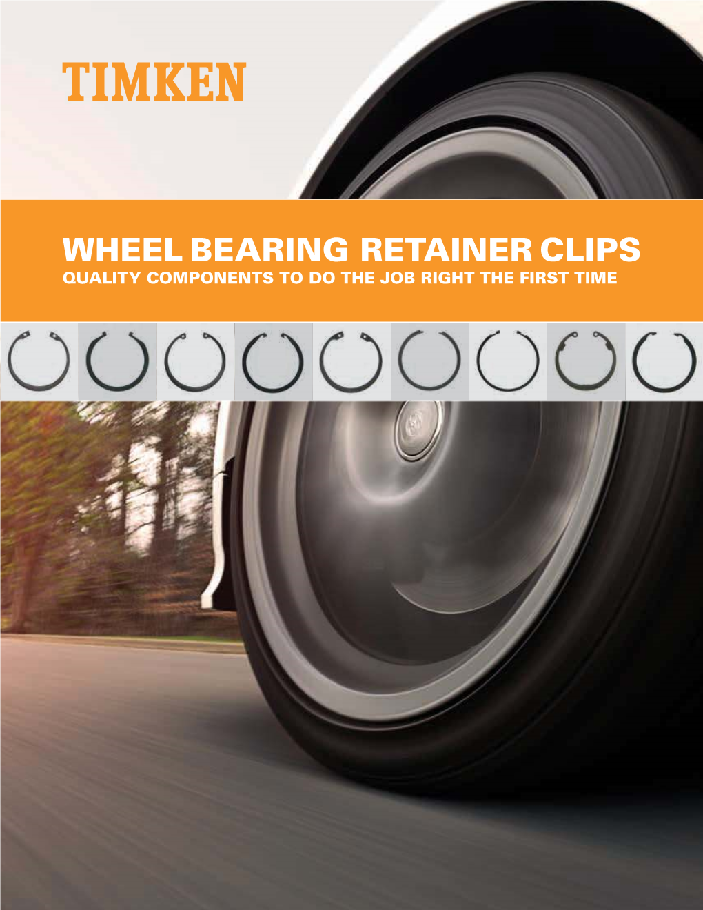 Wheel Bearing Retainer Clips