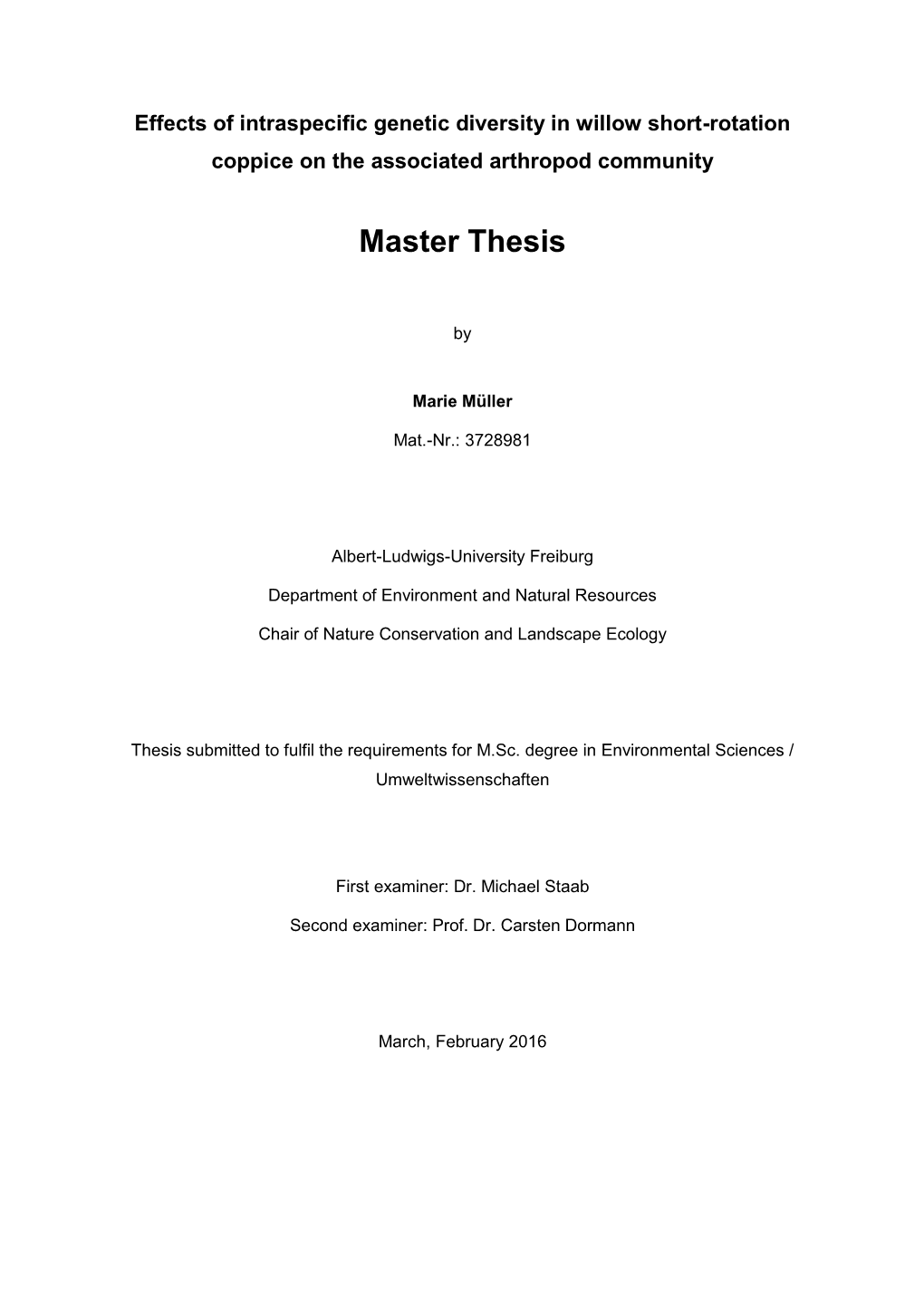 Master Thesis