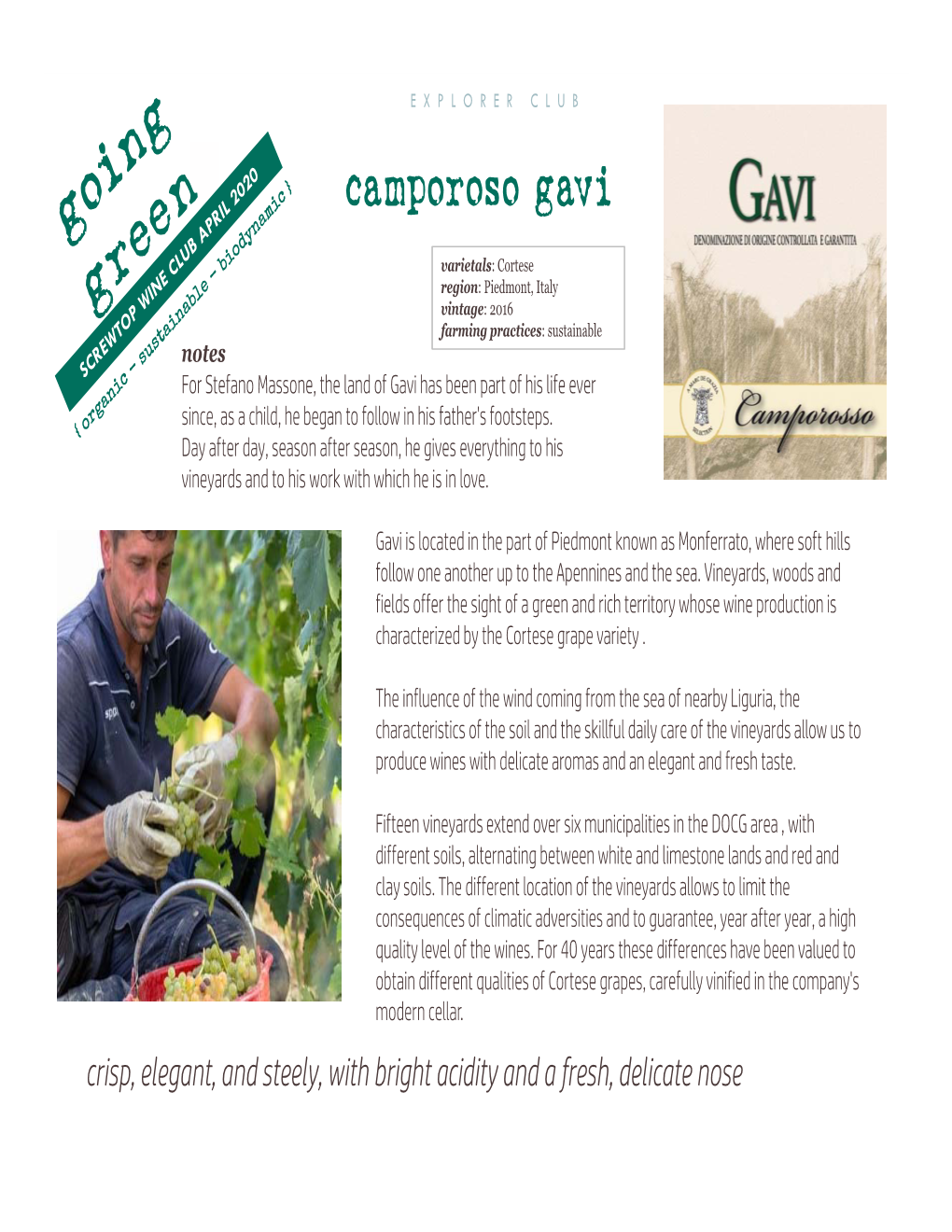 Camporoso Gavi