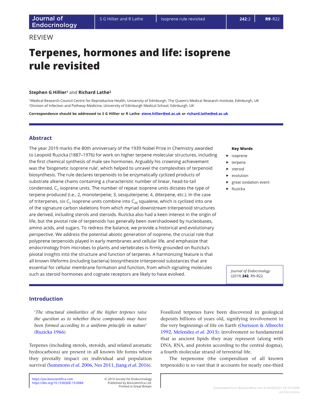 Terpenes, Hormones and Life: Isoprene Rule Revisited