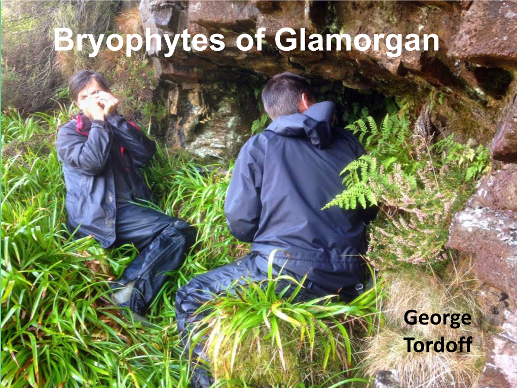 Bryophyte Recording in Glamorgan