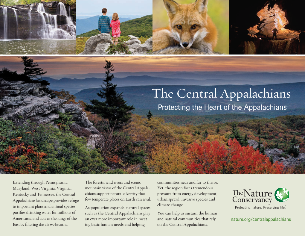 The Central Appalachians Protecting the Heart of the Appalachians