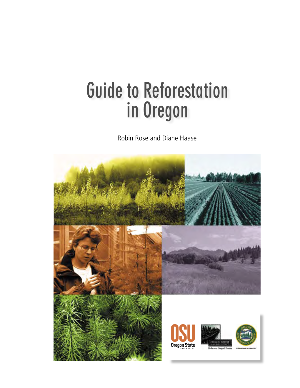 Guide to Reforestation in Oregon