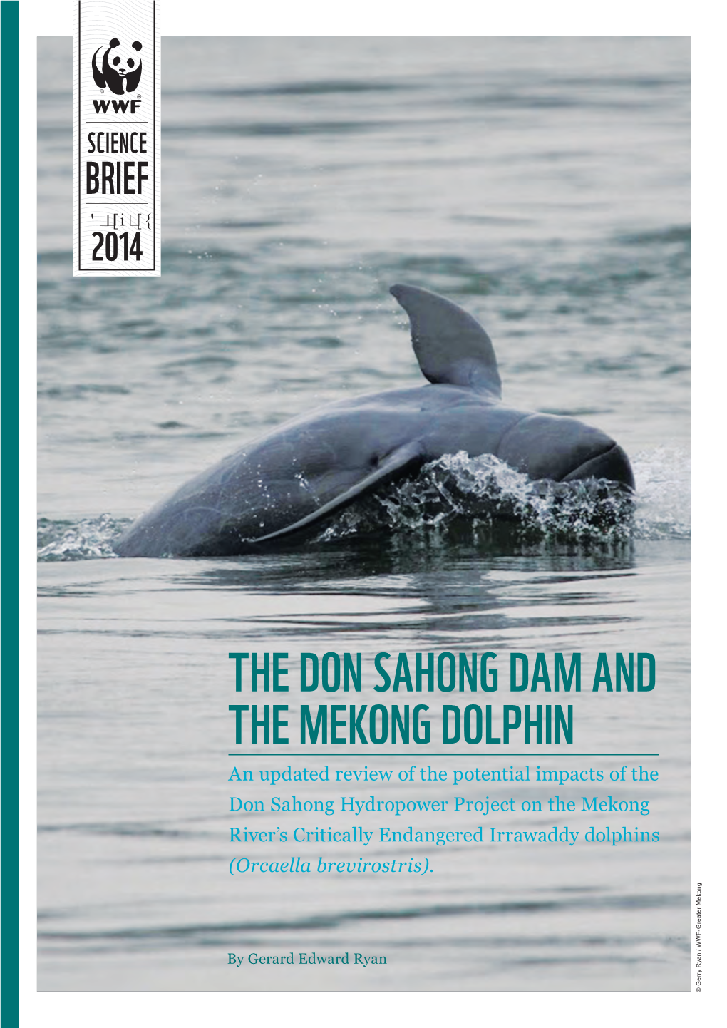 The Don Sahong Dam and the Mekong Dolphin