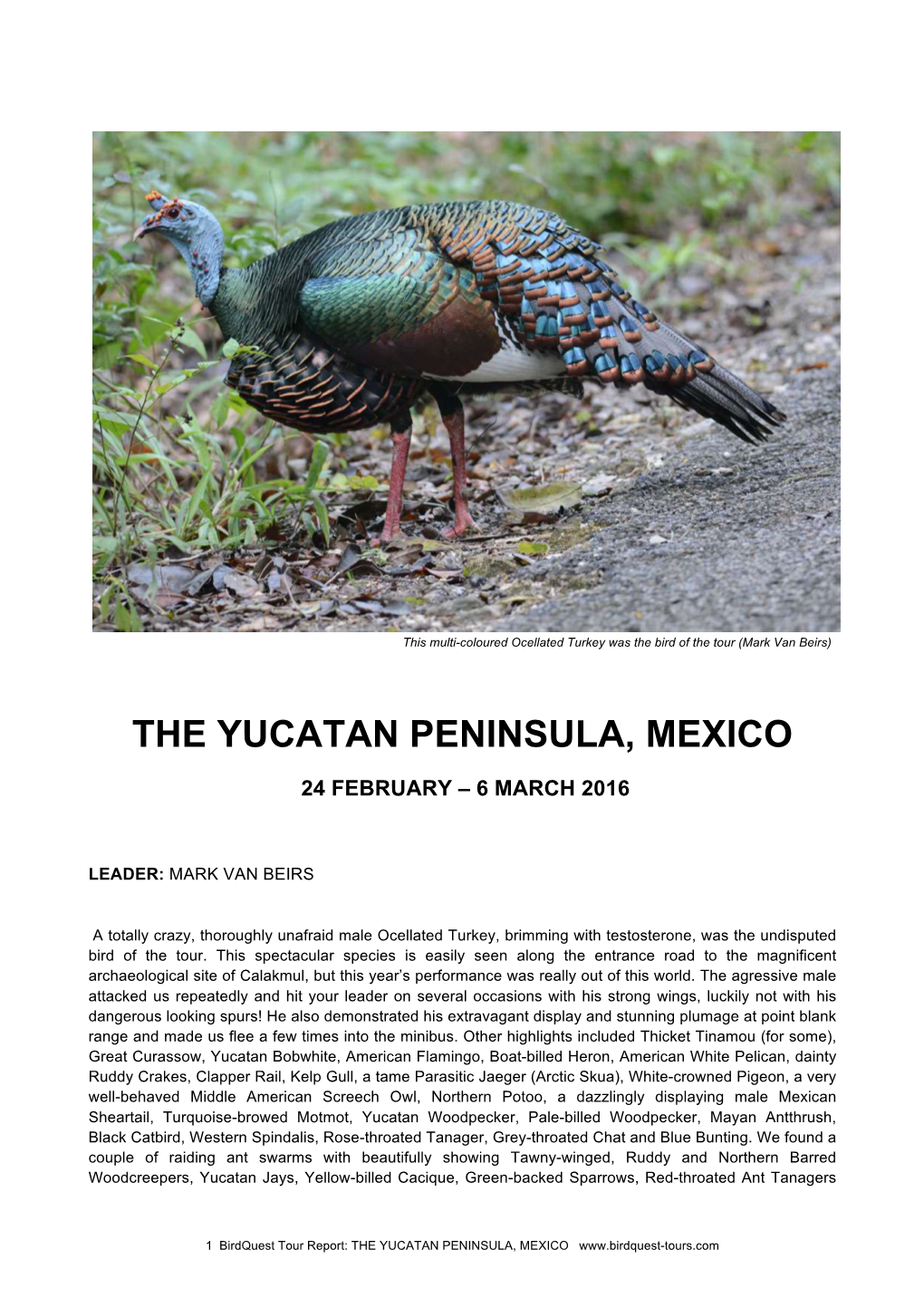 Mexico's Yucatan Peninsula Tour Report 2016
