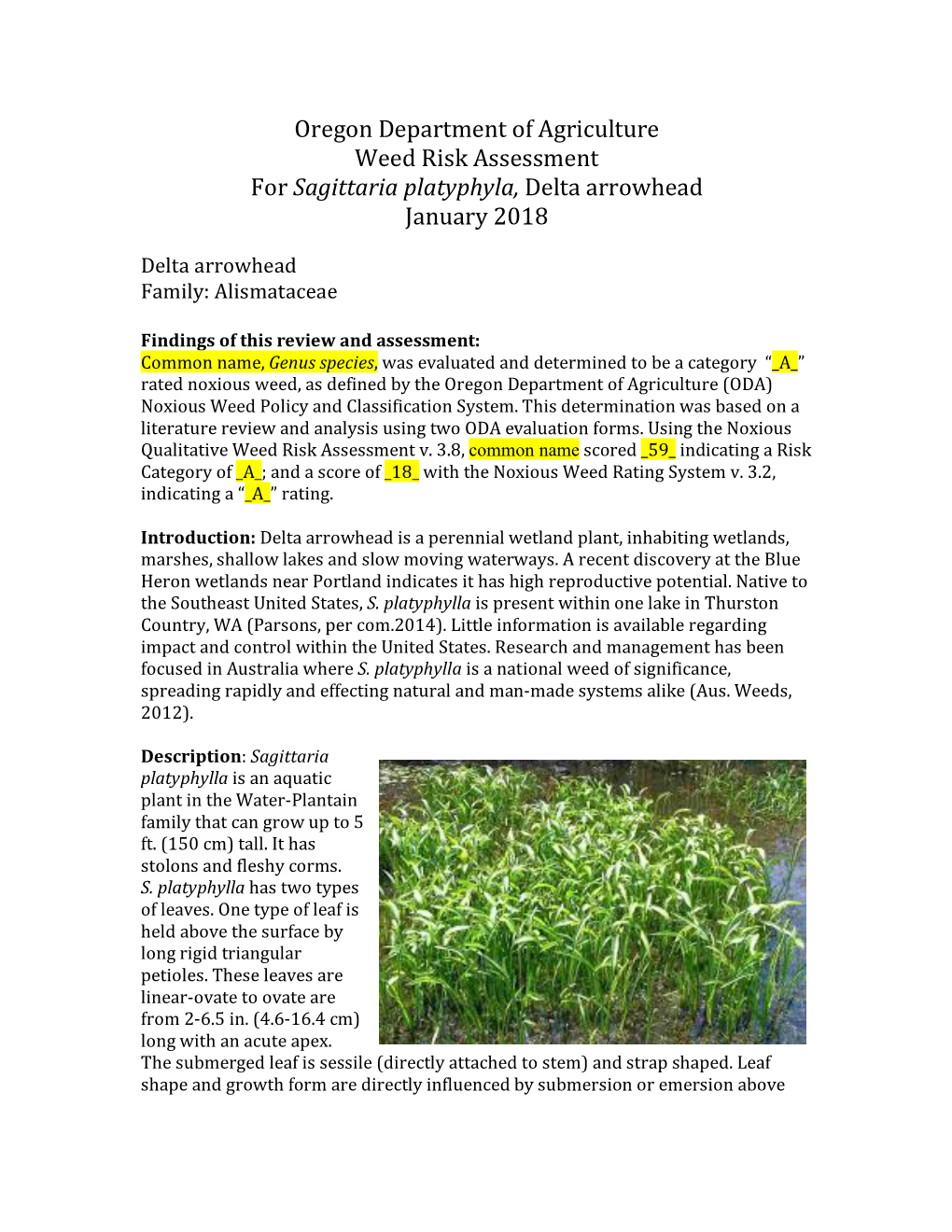 Oregon Department of Agriculture Weed Risk Assessment for Sagittaria Platyphyla, Delta Arrowhead January 2018