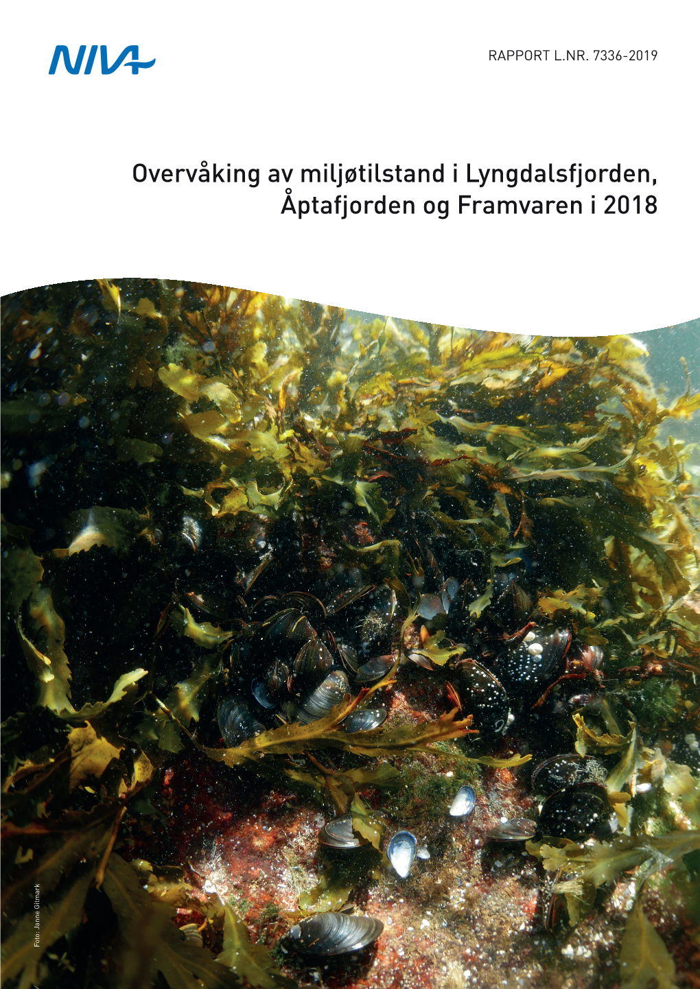 Overvåking Av Miljøtilstand I Lyngdalsfjorden, Åptafjorden Og Framvaren I 2018 Foto: Janne Gitmark Foto