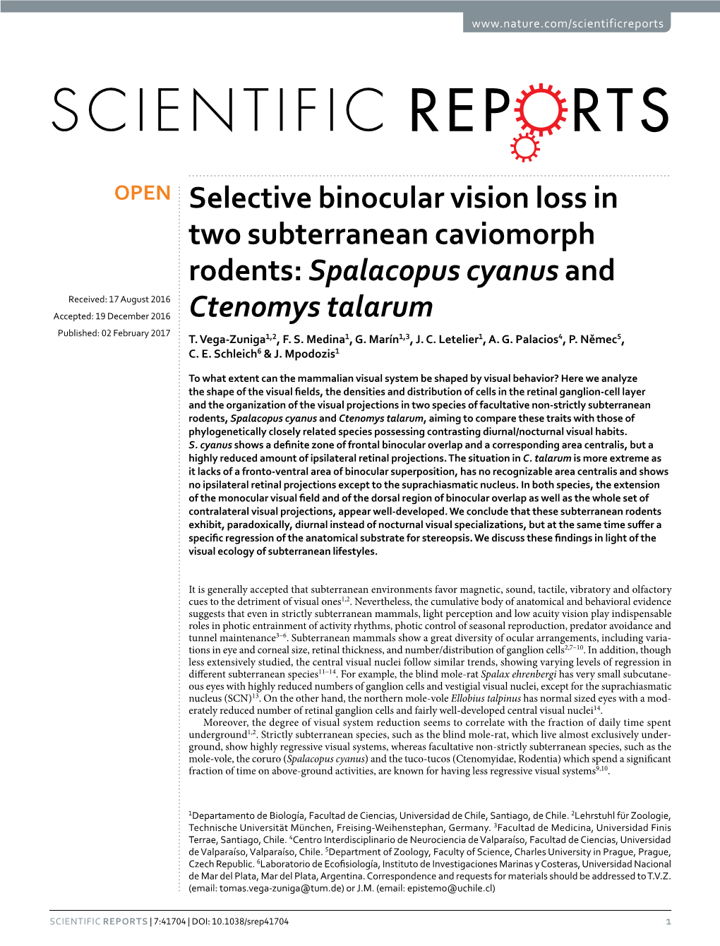 Selective Binocular Vision Loss in Two Subterranean Caviomorph Rodents