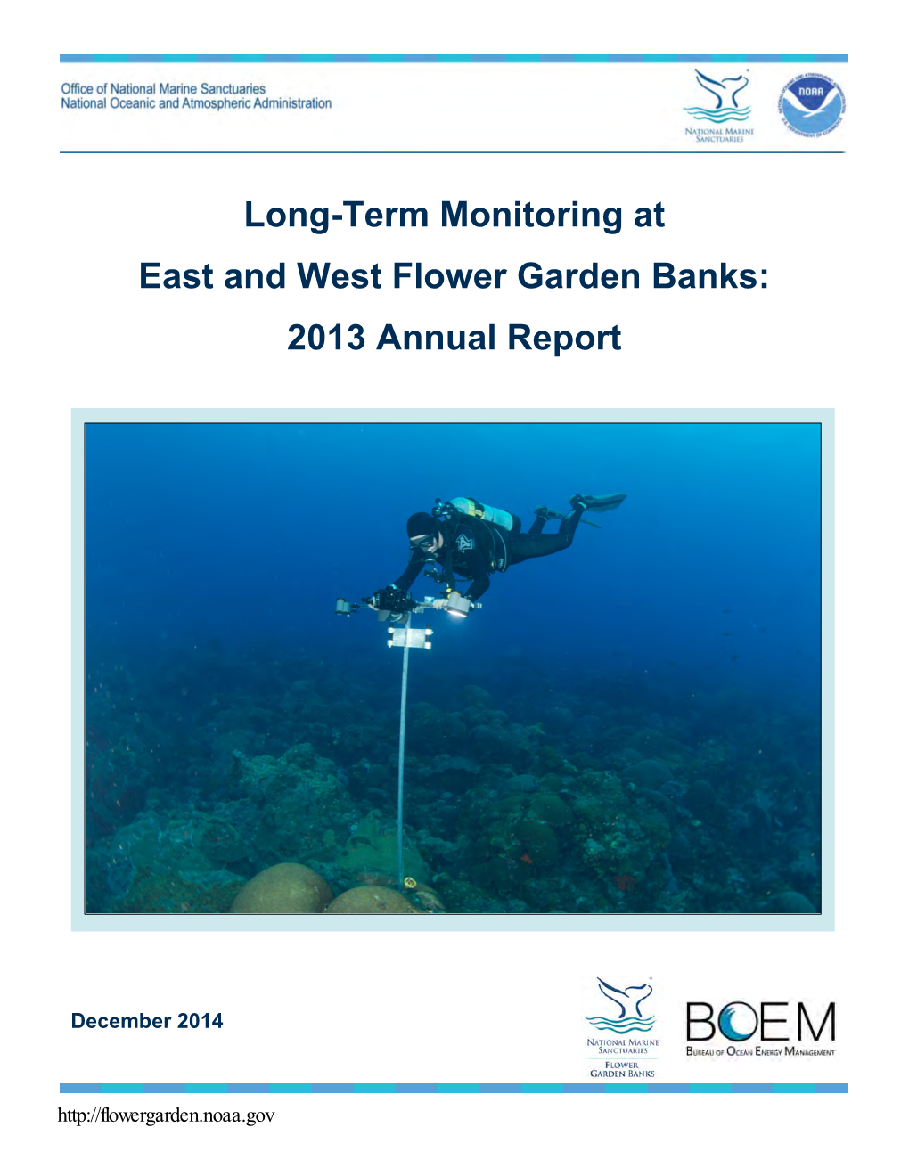 Long-Term Monitoring at East and West Flower Garden Banks: 2013 Annual Report